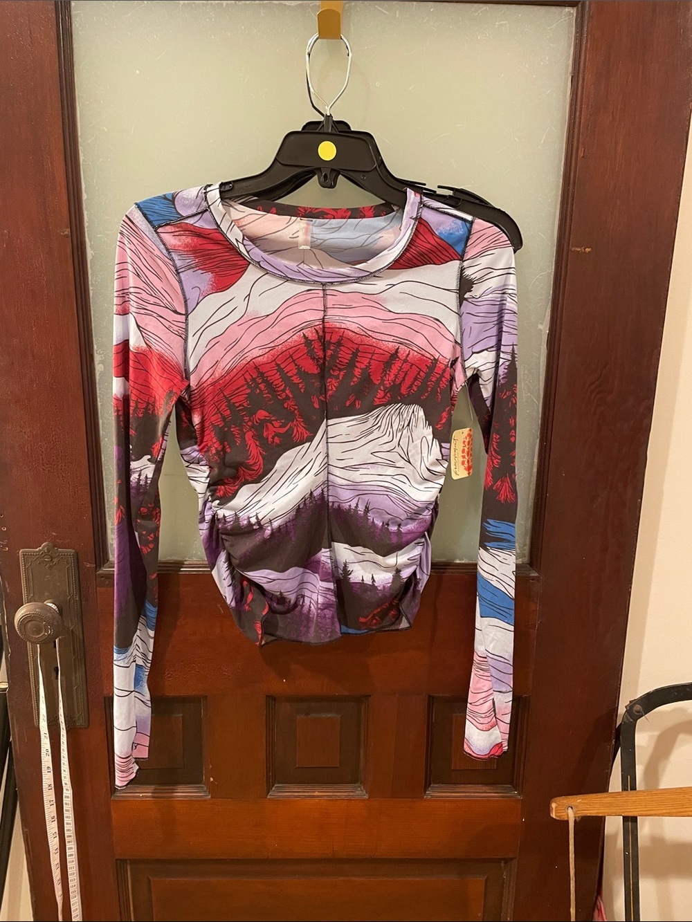 Free People Long Sleeve Abstract Landscape Top - Red & Purple